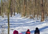 thumbnail_20250220_110349.jpg