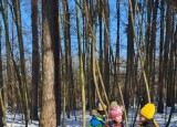 thumbnail_20250220_110537.jpg