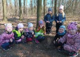 thumbnail_IMG_20250328_103222.jpg