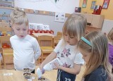 thumbnail_IMG_20250410_090852.jpg