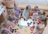 thumbnail_IMG_20250410_085411.jpg