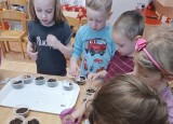 thumbnail_IMG_20250410_085832.jpg