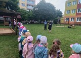 thumbnail_IMG_20250602_093235.jpg