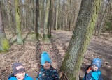 IMG-20240328-WA0009.jpg
