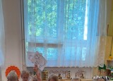 thumbnail_20240516_085530.jpg