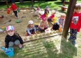 thumbnail_9d207c7c-4b4a-4fd4-ba79-ef40360d877d-1_all_7710.jpg