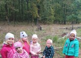 thumbnail_IMG_20241007_105546.jpg