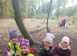 thumbnail_IMG_20241007_105502.jpg