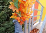 thumbnail_IMG_20241017_133842.jpg