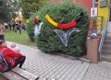 IMG-20241017-WA0004.jpg