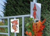 thumbnail_IMG_20241017_133852.jpg