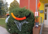 thumbnail_IMG_20241017_133834.jpg