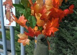 thumbnail_IMG_20241017_133858.jpg