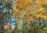 20241016_103056.jpg