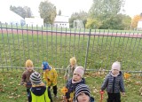 thumbnail_IMG_20241010_104828.jpg