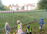 thumbnail_IMG_20241010_104209.jpg
