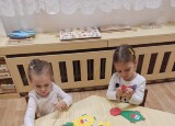 thumbnail_IMG_20241021_070641.jpg