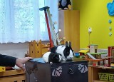 thumbnail_IMG_20241105_094105.jpg