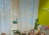 thumbnail_20241113_081631.jpg