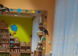 thumbnail_20241113_081709.jpg