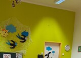 thumbnail_20241113_081648.jpg