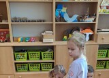 thumbnail_20241127_094931.jpg