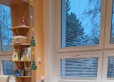 thumbnail_20241126_081434.jpg