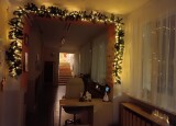 thumbnail_IMG_20241205_060544.jpg