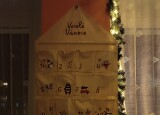 thumbnail_IMG_20241205_060628.jpg