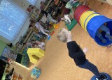 IMG_0893.jpeg