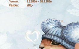 Co nás čeká v únoru